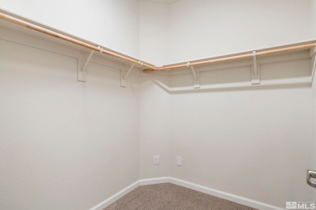 walk in closet with carpet