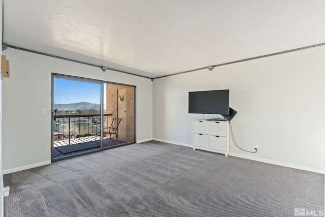 spare room with carpet and a textured ceiling