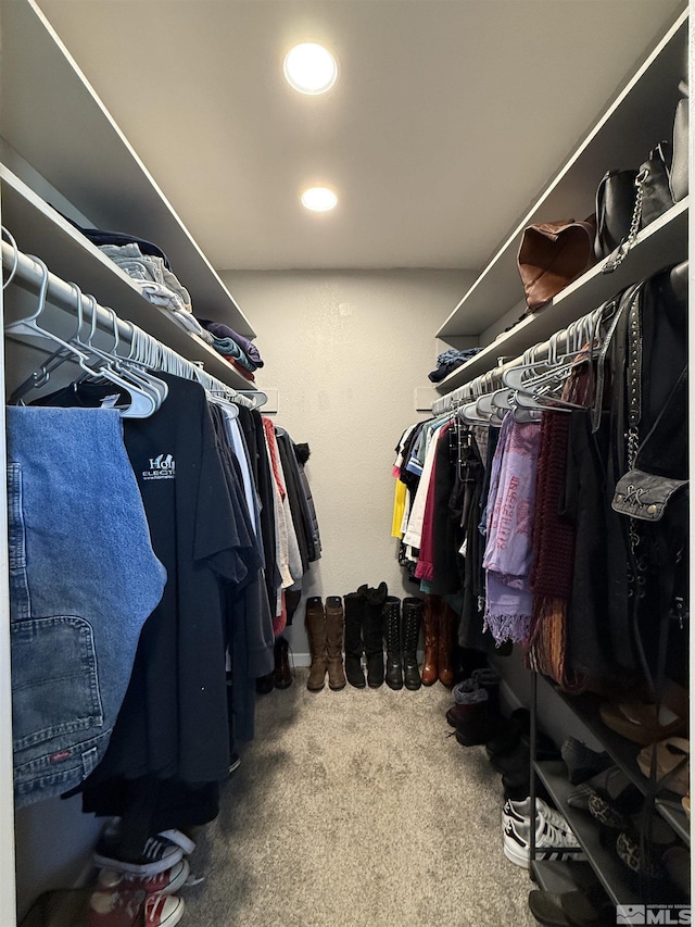 walk in closet featuring carpet flooring