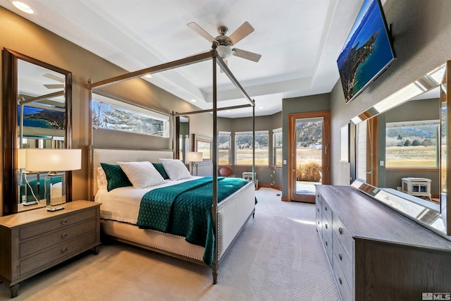 carpeted bedroom with a raised ceiling