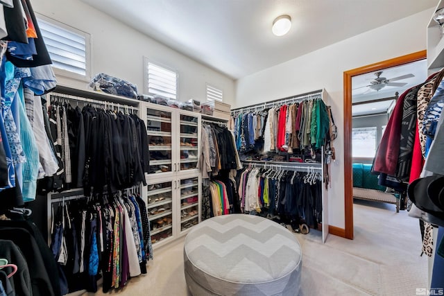 walk in closet featuring carpet