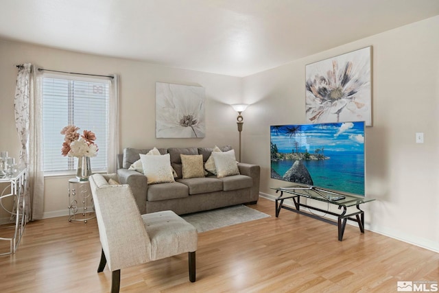 living room featuring light hardwood / wood-style flooring