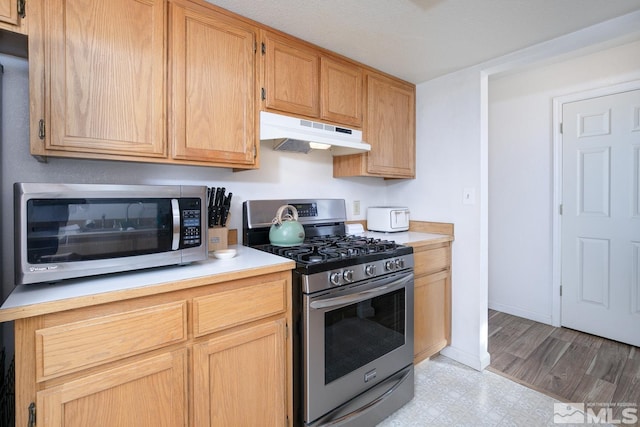 kitchen featuring stainless steel appliances and light brown cabinetry