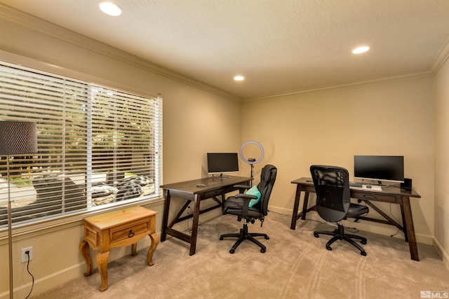 carpeted office with ornamental molding