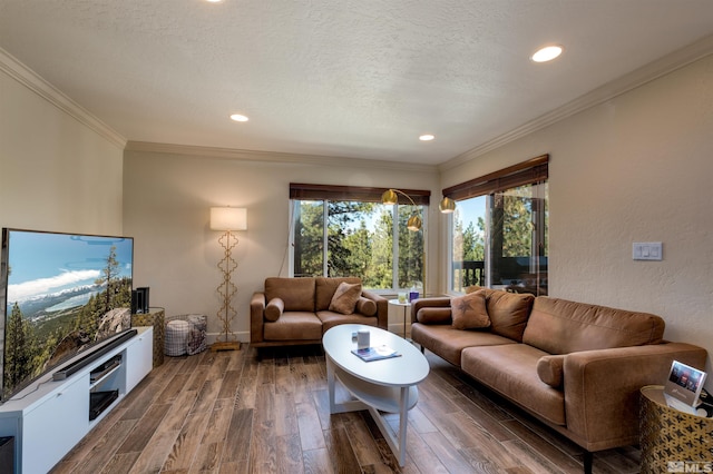 living room with crown molding, hardwood / wood-style floors, and a textured ceiling