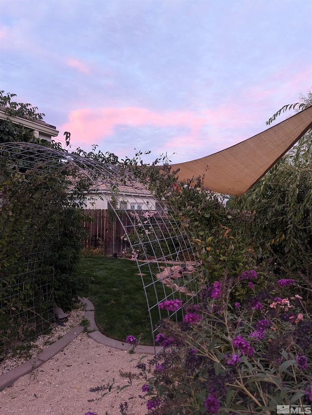 view of yard at dusk