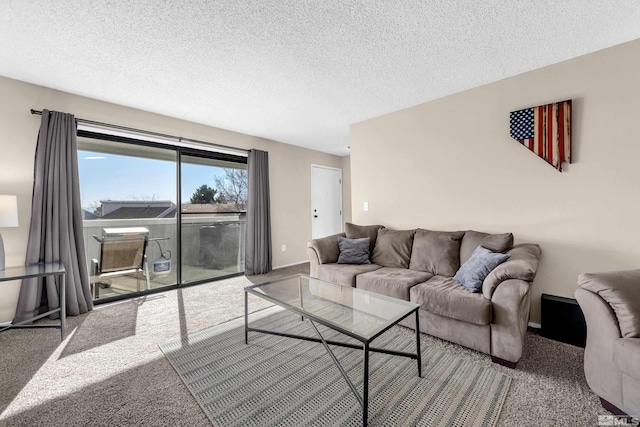 living room featuring carpet floors and a textured ceiling