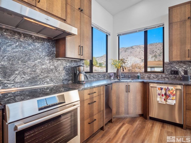 kitchen with sink, a mountain view, hardwood / wood-style flooring, stainless steel appliances, and decorative backsplash