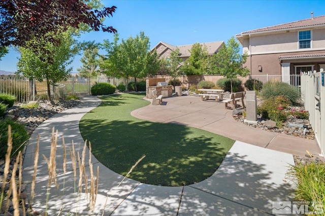 view of yard featuring a patio area