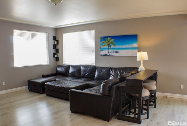 living room with light wood-type flooring