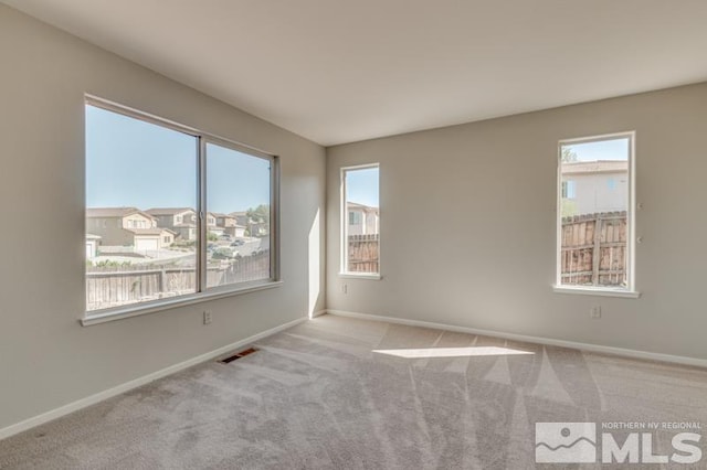 empty room featuring light carpet and a wealth of natural light