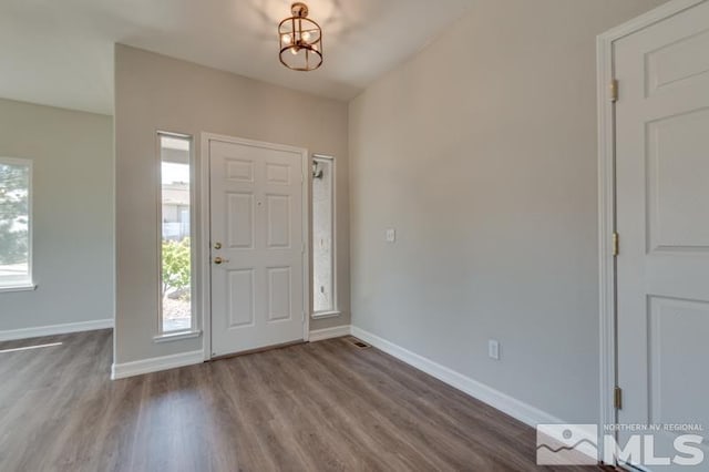 foyer featuring hardwood / wood-style floors and plenty of natural light