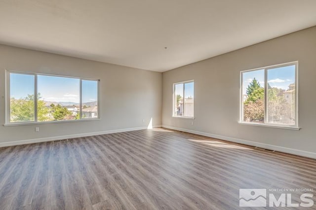 unfurnished room featuring light hardwood / wood-style flooring and plenty of natural light