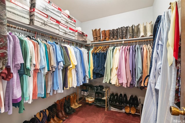 view of spacious closet