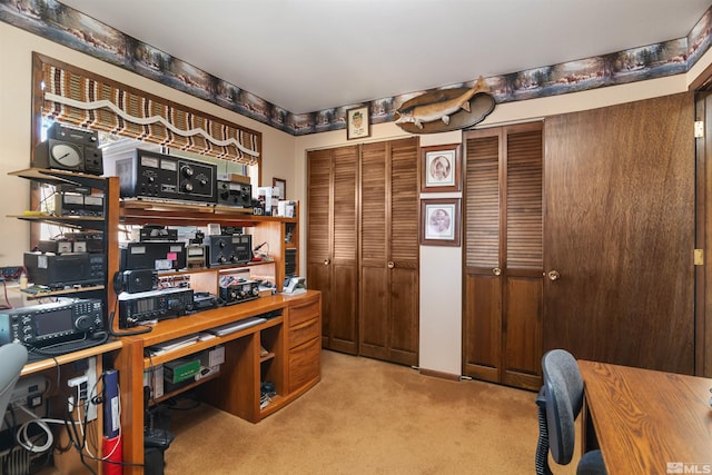 office area featuring light carpet