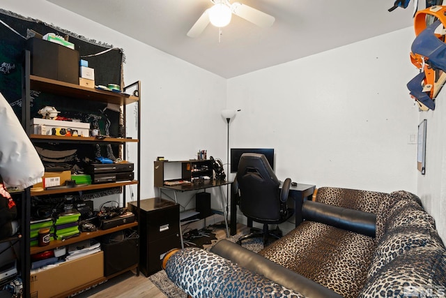 office space featuring ceiling fan and wood finished floors