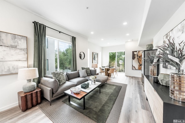 living room featuring light hardwood / wood-style flooring