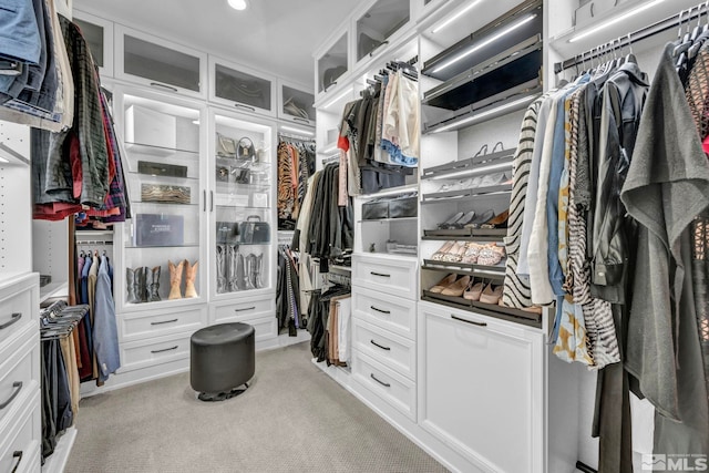 spacious closet with light colored carpet