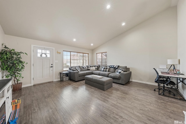 living room with hardwood / wood-style flooring and high vaulted ceiling