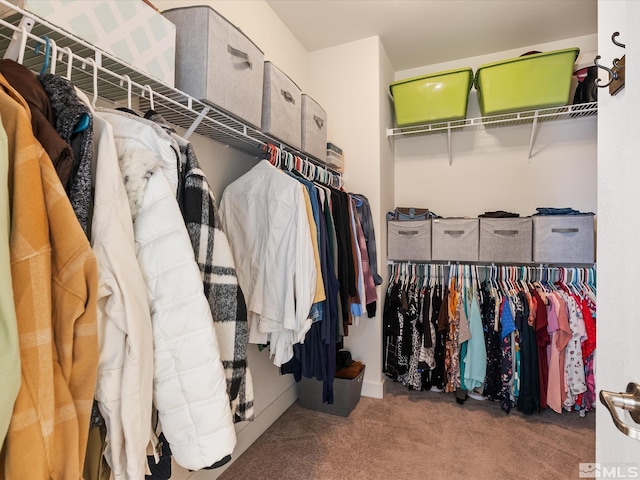 spacious closet with carpet