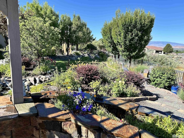 view of yard with a mountain view