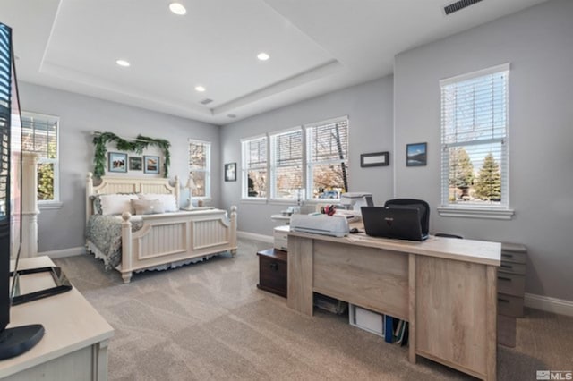 carpeted bedroom with a tray ceiling