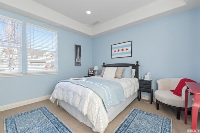 carpeted bedroom featuring a raised ceiling