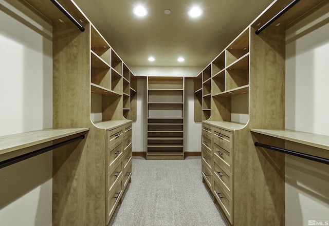 spacious closet with light carpet