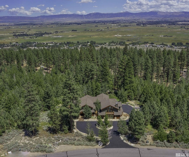 aerial view featuring a mountain view