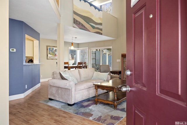 living room featuring wood-type flooring