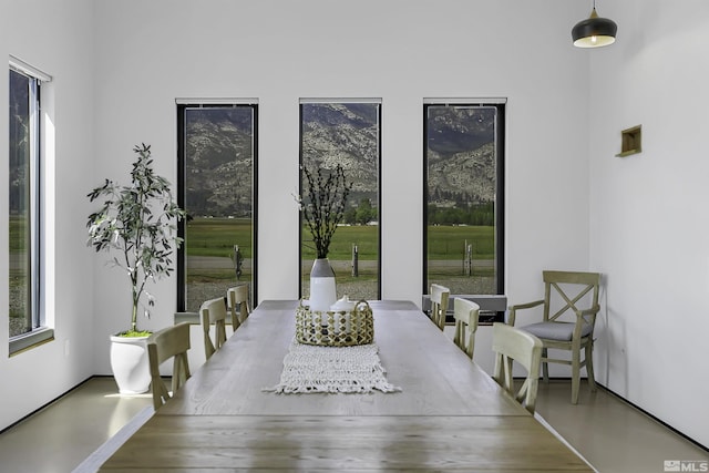 dining room with plenty of natural light and concrete floors