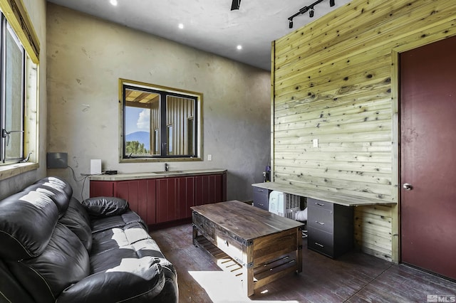 living room featuring dark hardwood / wood-style flooring and track lighting