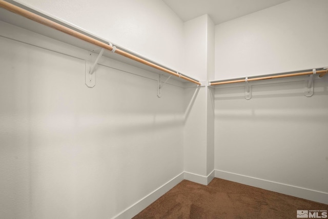 spacious closet with carpet flooring