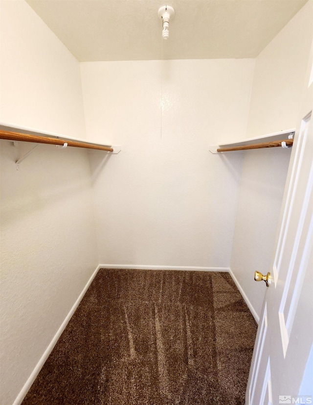 walk in closet featuring carpet flooring