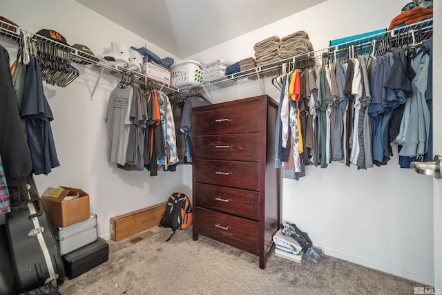 spacious closet featuring carpet