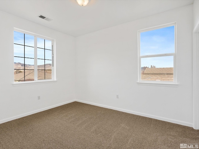 empty room featuring carpet floors