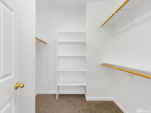 walk in closet with carpet flooring