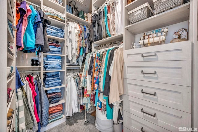 walk in closet with carpet floors