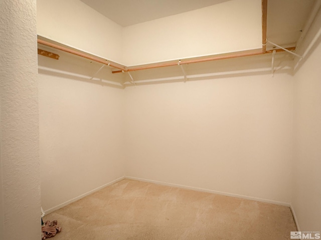 spacious closet with carpet