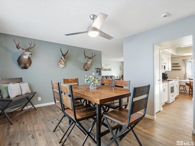 dining room featuring ceiling fan, light hardwood / wood-style floors, and a textured ceiling