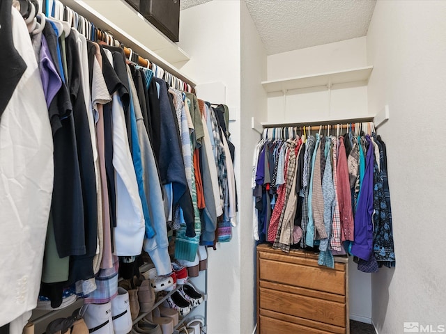 view of spacious closet