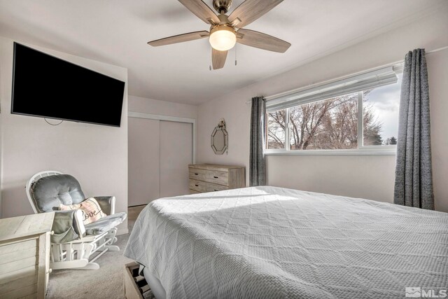 carpeted bedroom featuring ceiling fan and a closet