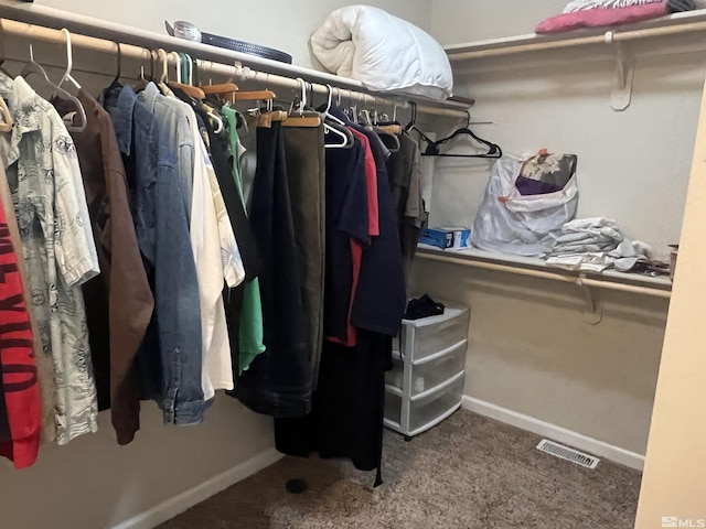 spacious closet featuring carpet