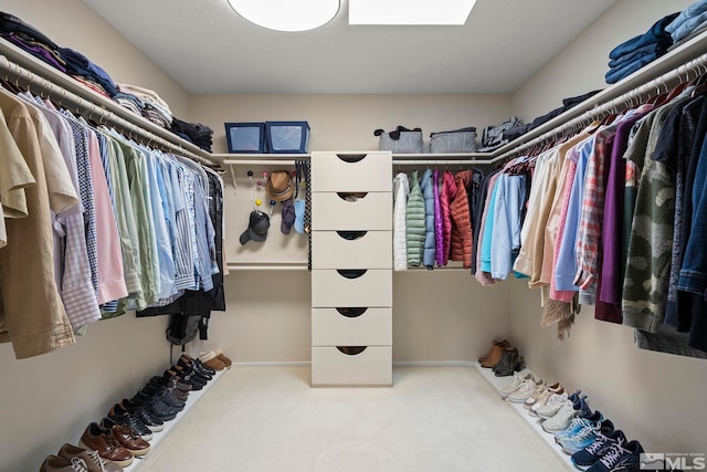 spacious closet with a skylight and carpet