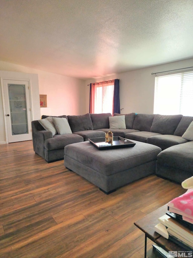 living room with dark hardwood / wood-style floors and a textured ceiling