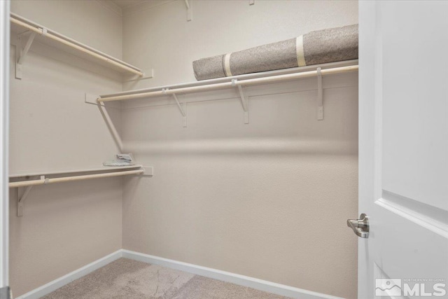 spacious closet with carpet