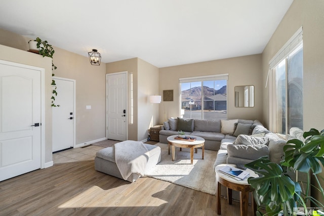 living room featuring wood-type flooring