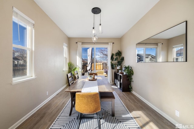 dining space featuring hardwood / wood-style floors