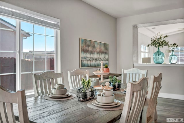 dining space featuring wood-type flooring