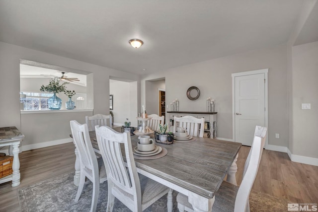 dining space with hardwood / wood-style flooring and ceiling fan